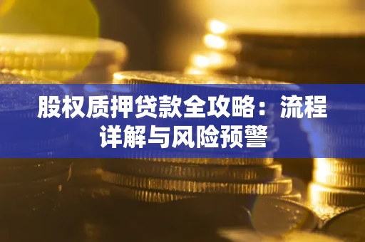 北京股权质押贷款全攻略：流程详解与风险预警