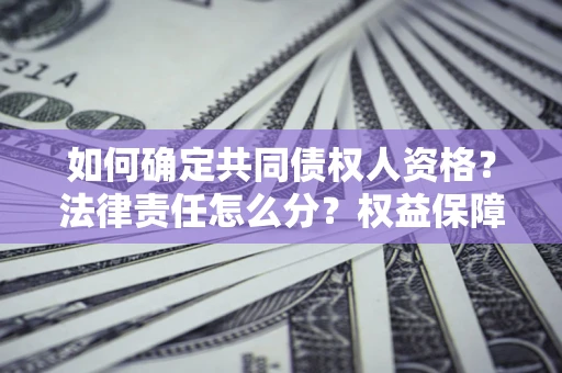 北京如何确定共同债权人资格？法律责任怎么分？权益保障技巧揭秘！