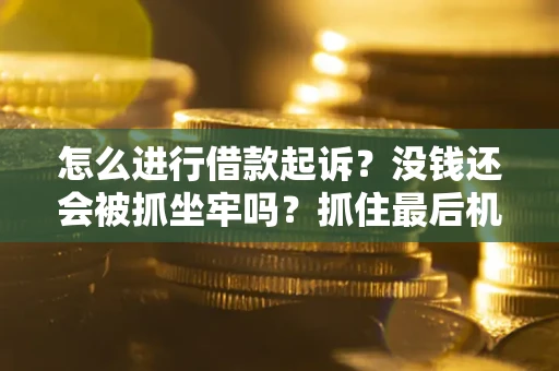 北京怎么进行借款起诉？没钱还会被抓坐牢吗？抓住最后机会！