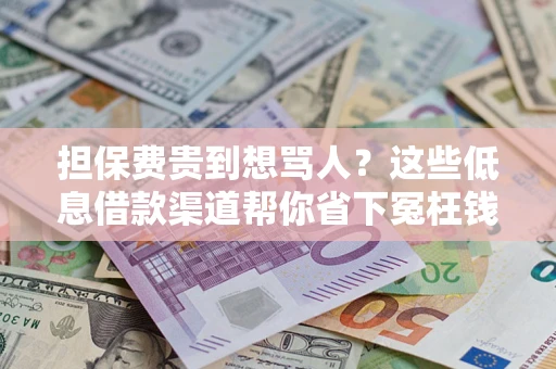 北京担保费贵到想骂人？这些低息借款渠道帮你省下冤枉钱