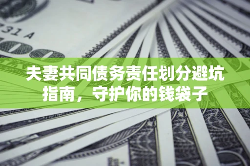 北京夫妻共同债务责任划分避坑指南，守护你的钱袋子